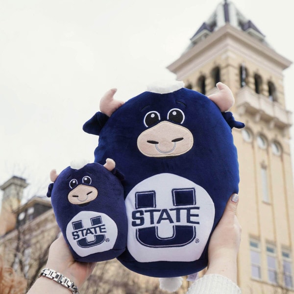 Mini Big Blue Squishy Pillow